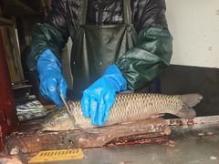 -梅记大块头爆鱼店(乍浦路店)