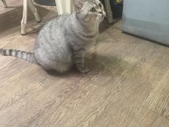 -小时光咖啡馆(开森度假森林店)