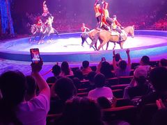 -珠海横琴长隆《卡卡虎奇遇记》