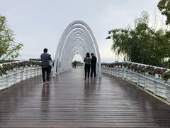 -大兴滨河森林公园