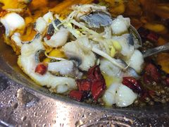 -雲蜀龙阁·金牌水煮鱼(方庄店)