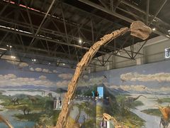 -自贡恐龙博物馆