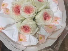 -春润大地海南椰子鸡(沙井京基百纳广场店)