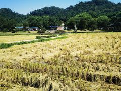 -红山村