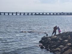 -宝安西湾红树林湿地公园