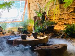 -天水蔬食料理(树德之光店)