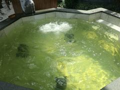 -太白山御龙湾温泉