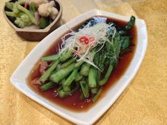 -陈麻婆豆腐(春熙店)