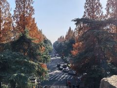 -明故宫遗址公园