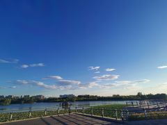 -大兴滨河森林公园