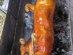-明仕田园