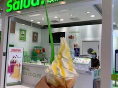 -Salud撒露欧洲冻酸奶(蓝色港湾店)