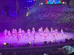 -广州长隆国际大马戏