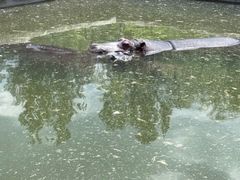 -哈尔滨北方森林动物园