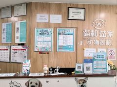 -谐和益家动物医院·免疫绝育·血液透析·宠保定点医院(高新伊藤分院)