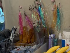 -有喵·猫咖·狗咖·30几只猫10只小狗(岗厦店)