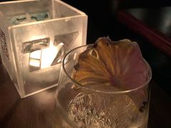 -TZ House音乐现场(茅台店)