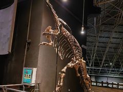 -世界恐龙谷景区