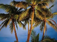 -唐人街(耀华力路)