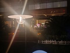 -SWAG·日咖夜酒·城市露营