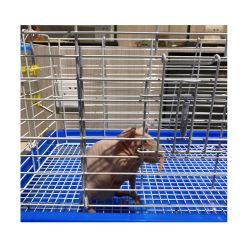 -Moni星球萌宠·小马宝莉·灵蛇·高端高阶全萌宠互动体验俱乐部(红豆国际广场店)
