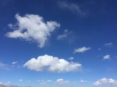 -大冬树山垭口