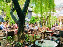 -Fern Forest Cafe