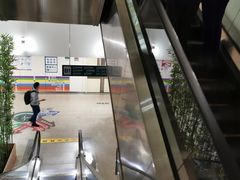 -首都医科大学附属北京潞河医院