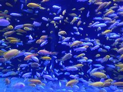 -成都浩海立方海洋公园