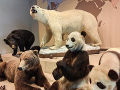-Behring World of Animals(上海自然博物馆店)