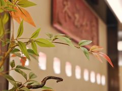 -炊江南·上海菜(国展华漕店)