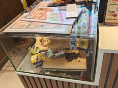 -麦当劳(皇岗路店)