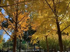 景点-什刹海-后海