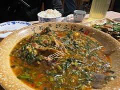 -张鲫鱼家常菜