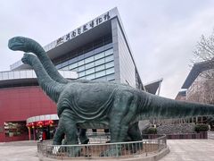 -河南自然博物馆