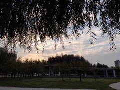 -宿迁学院