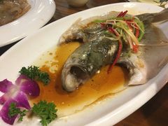 -雪乡阁东北农家菜(颛桥约好休闲街店)