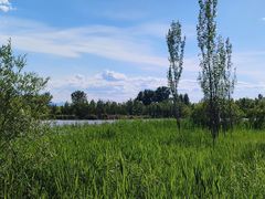 -野鸭湖国家湿地公园