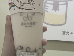 双蛋小皇椰（白屁屁）-茶力的小怪兽(梅林卓悦汇店)