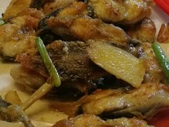 -绿雅居原生态农庄(小涌店)