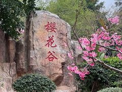 -狐尾山公园