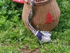 -龙坞茶村