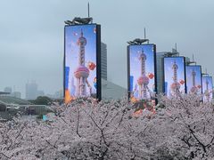 -陆家嘴空中步行连廊