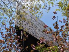 -陈家山荷花公园