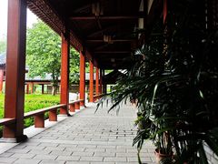 -白洋淀景区