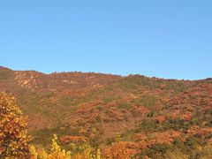 -北京十三陵国家森林公园蟒山景区