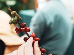 -Sony Store索尼(广州正佳店)