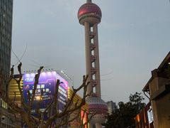 -曼朗心理咨询·旗舰店