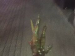 -型男美蛙烤牛蛙(南长街店)