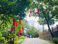 -广州市流溪河国家森林公园